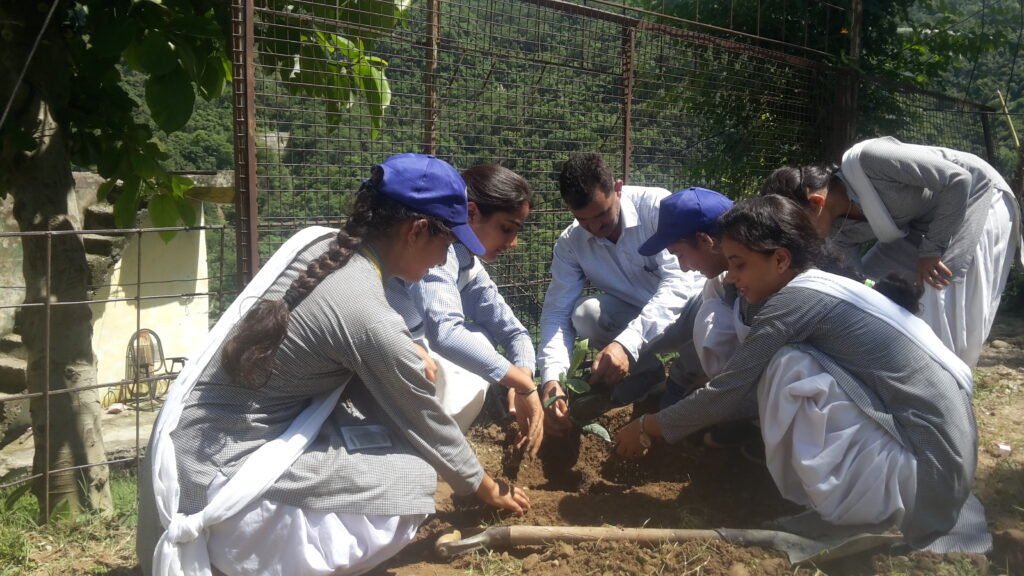 Students of PM Shri Govt Utkrish Sr Sec School, Dharampur, planting a sapling during an Environment Day tree plantation drive.